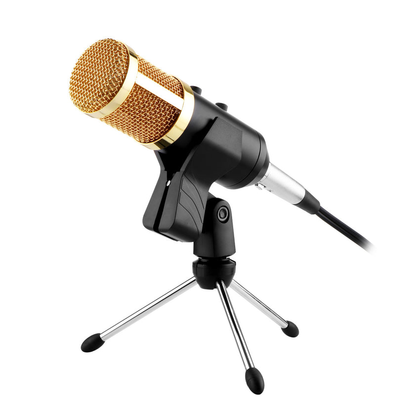 Fornorm Professional USB Condenser Microphone Volume Adjustment Reverberation Microphone For Computer KTV Studio professional